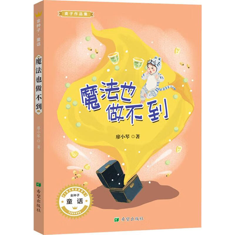 魔法也做不到 9787537980951 廖小琴