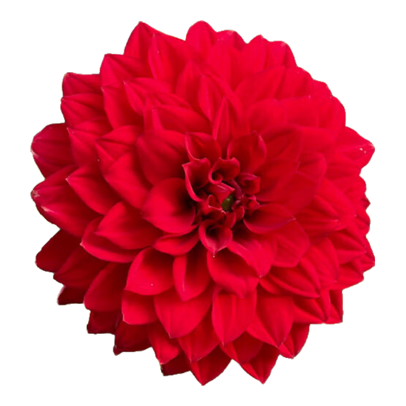 ����Ӵ���������5������ˮ�໨�����ͺ�������������������ֲԴͷֱ��