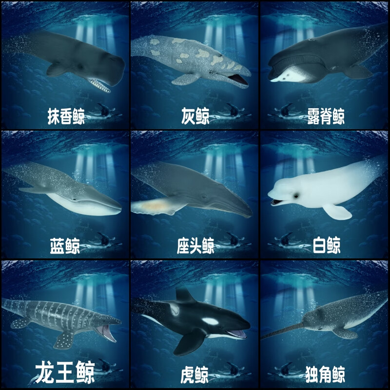 林畅模玩儿童海洋动物玩具实心仿真鲸鱼模型抹香鲸蓝鲸白鲸虎鲸独角鲸