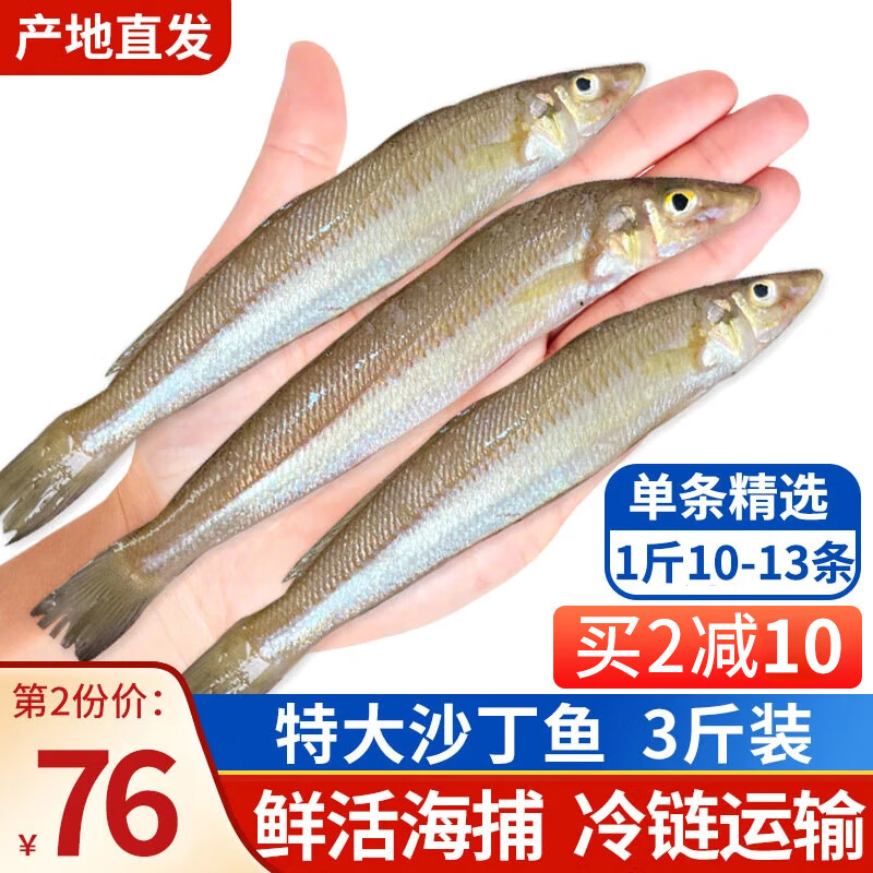 朵芙海捕沙丁鱼 3斤 海鱼活冻沙尖沙钻鱼冷冻 烧烤海鲜水产鱼类