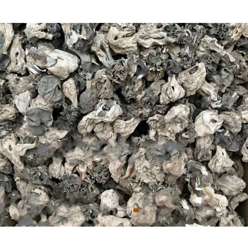 虎钢馋新鲜巴楚菇100g 新疆巴楚蘑菇干食用菌香菇胡杨林皱柄羊肚菌