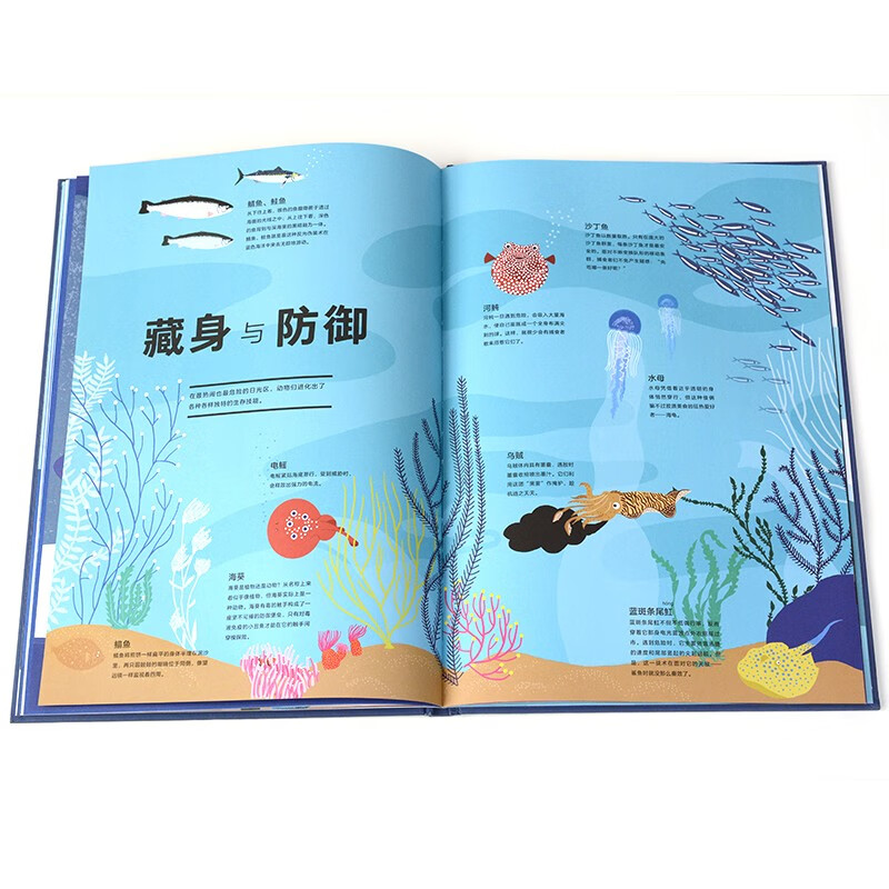 海洋的奥秘（奇想国童书）全景式呈现海洋风貌，包含海洋生物、生态系统，激光镂空、翻翻、拉页和层次设计暑假阅读暑假课外书课外暑假自主阅读暑期假期读物