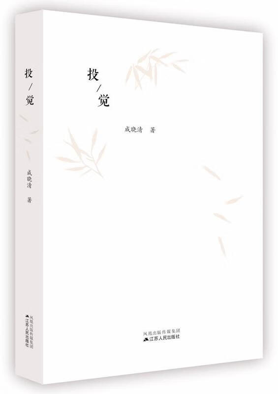 正版图书投觉 成晓清 江苏人民出版社