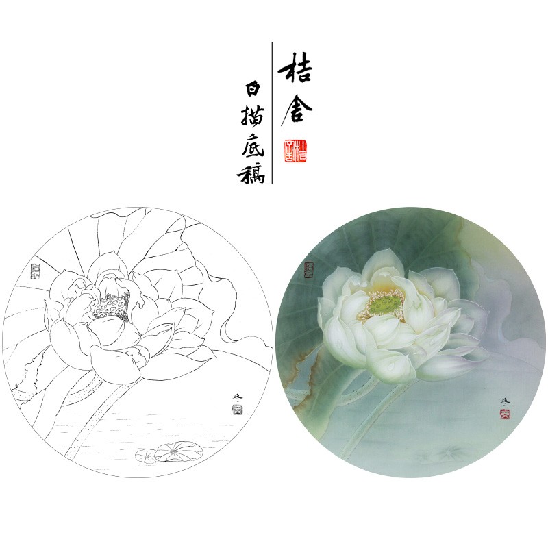 杨冬冬工笔画白描底稿荷花圆形小品原作大小40*40厘米花鸟线稿带a3