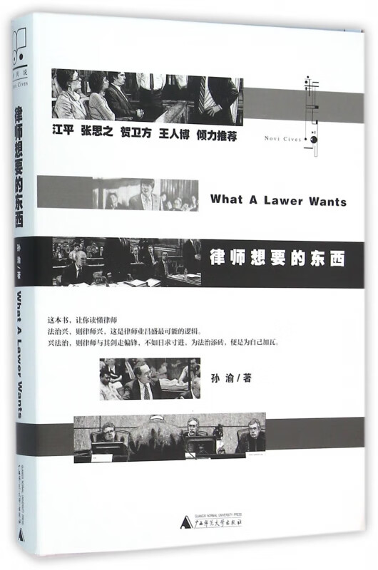 律师想要的东西(精)
