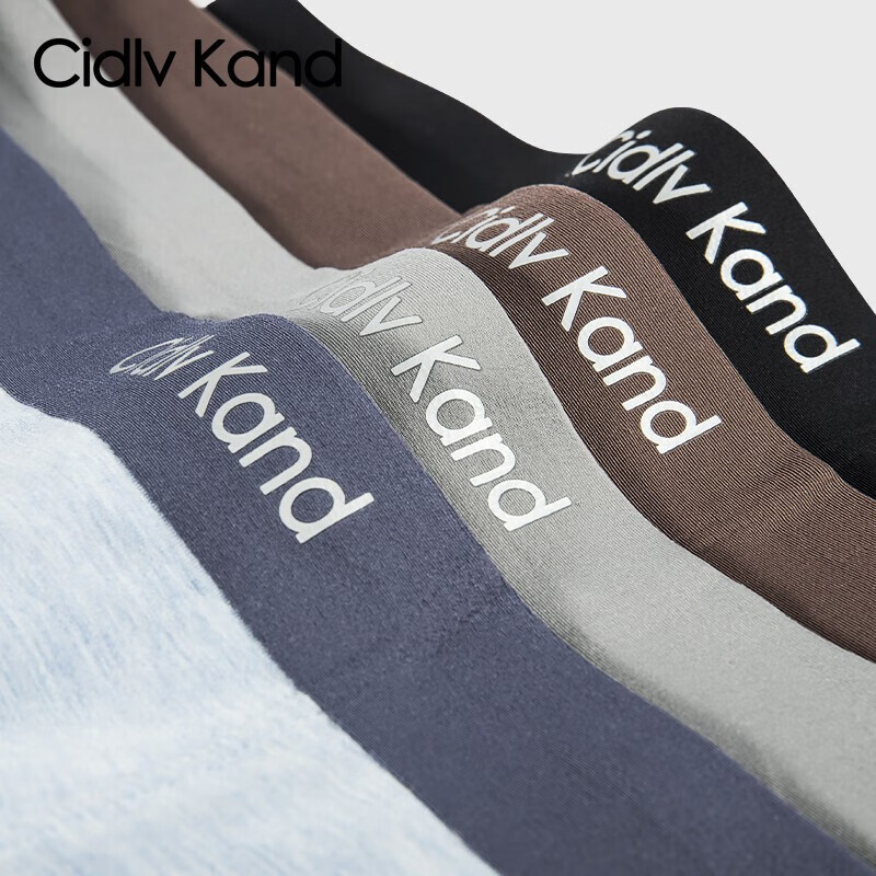 Cidlv kand男士内裤男莫代尔冰丝无痕抑菌四角裤透气宽松柔软平角秋冬夏款 【莫代尔】A52CK品牌专柜 彩纱 4条 L (80-110斤)