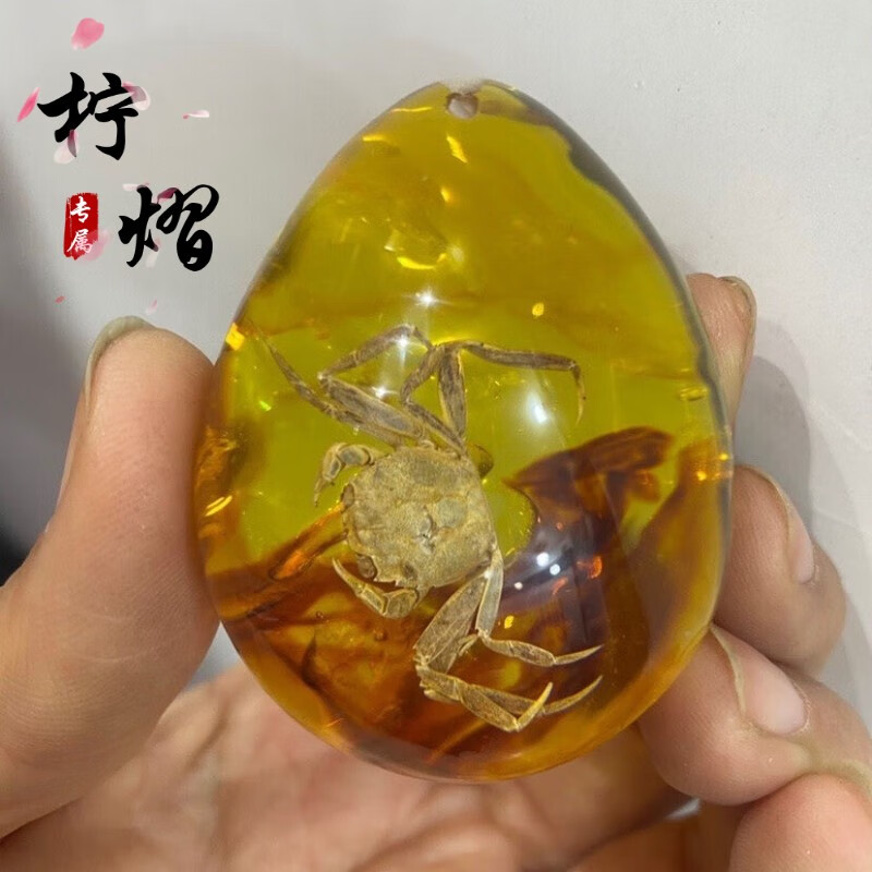 甘夏 琥珀昆虫标本吊坠人工虫珀小学生观察蝴蝶蝎子螃蟹蜘蛛手把件