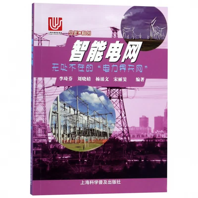 智能电网(无处不在的电力界天网)/少年的科创
