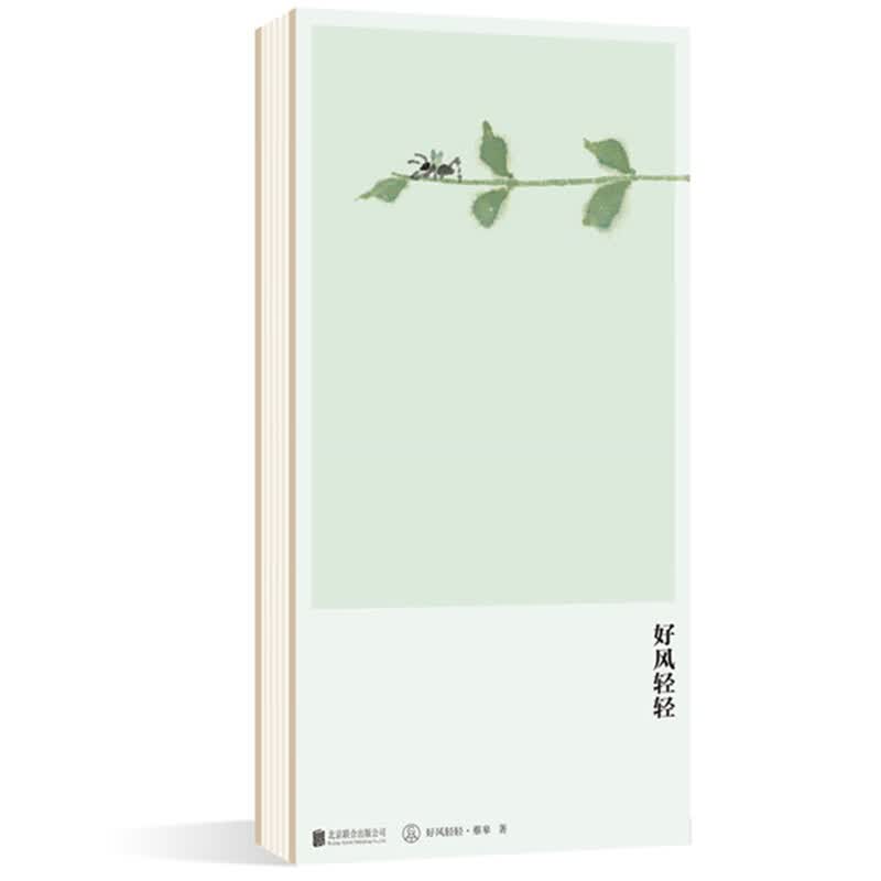 好风轻轻