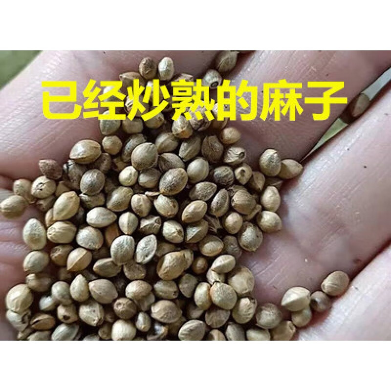 熟小麻子线麻子底肥腰肥君子兰肥直接用无需加工效果好 熟麻子半斤
