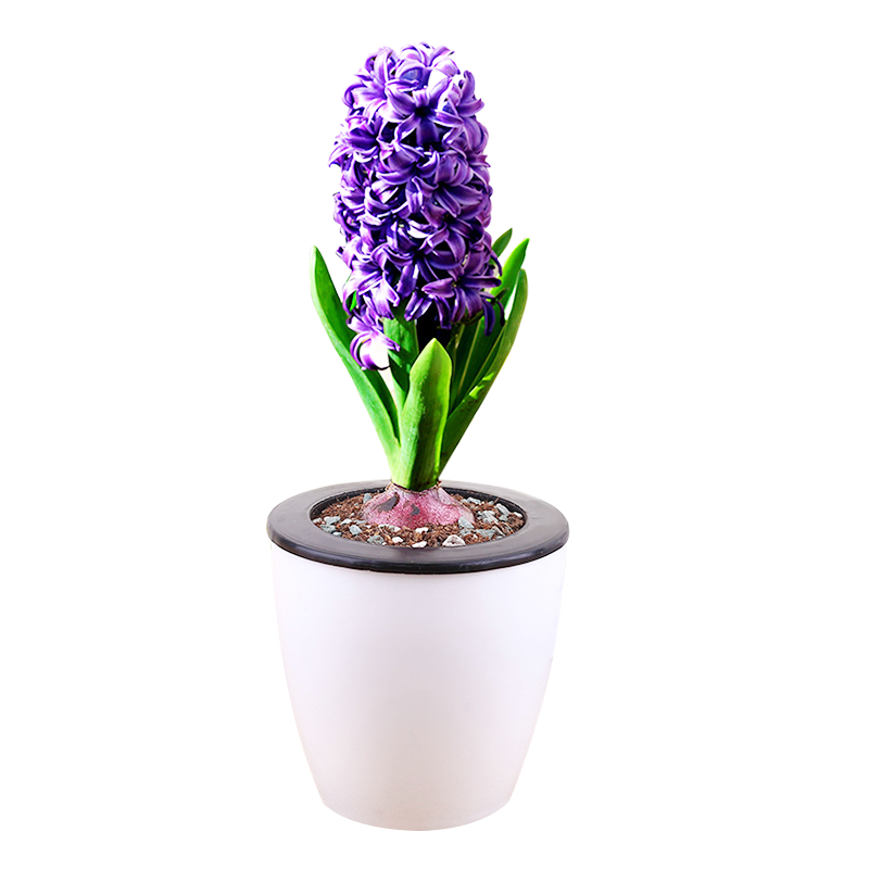 ˿зˮ໨ļͺֲﻨ ɫжɫ  19.8Ԫ4(4.95Ԫ/)