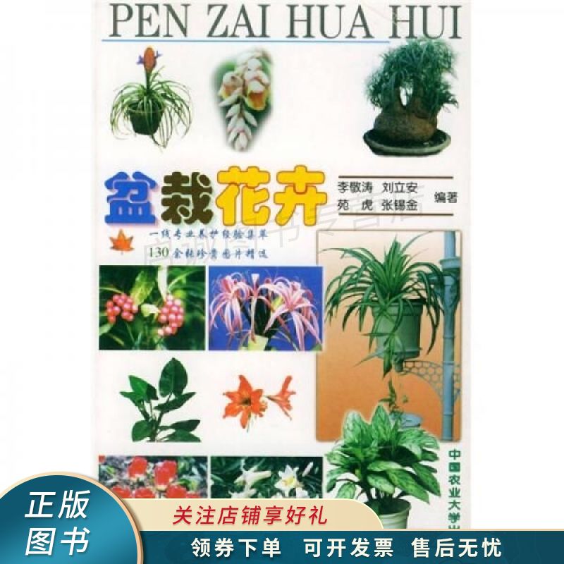 盆栽花卉 李敬涛