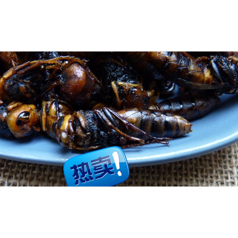 维霆大马蜂黑蜂蛹大蜂蛹胡峰美食食虫部落70克