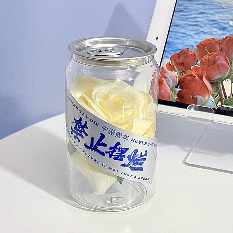 遥绾惜玫瑰花朵透明易拉罐桌面装饰摆件仪式感礼品纪念日装 香槟色