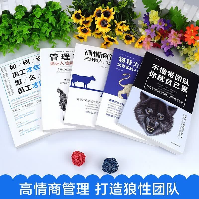 全6册 管理学系统之美决策者的系统思考+哈佛管理课+识人用人管人+格局+超级领导力+领导力法则 等详情图
