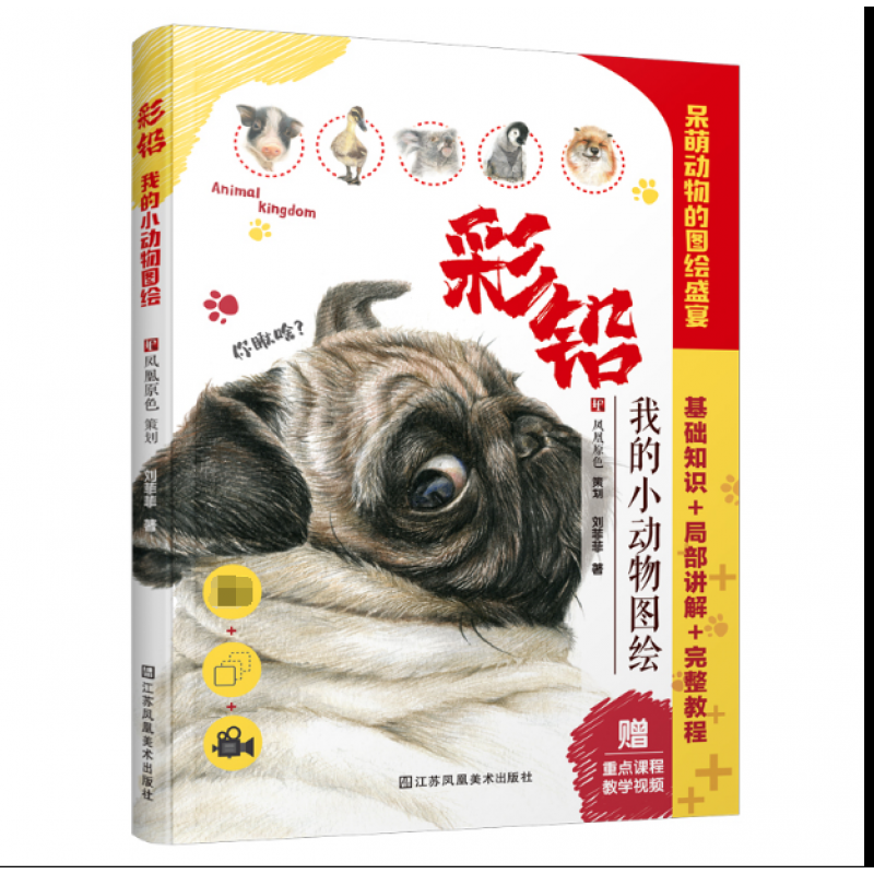 动物彩铅入门教程基础知识局部讲解完整教程素描色彩基础绘画技法艺术