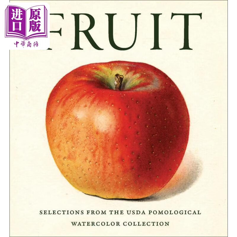 预售 fruit 进口艺术 水果
