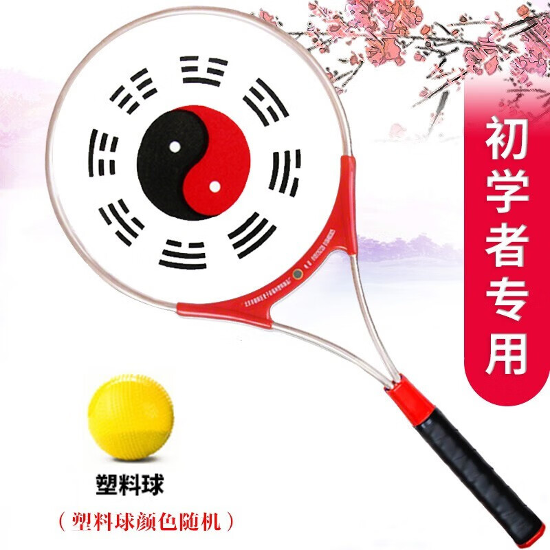 太极球柔力球功夫训练手拍套装中老年初学者柔力软球彩带 一拍一塑料