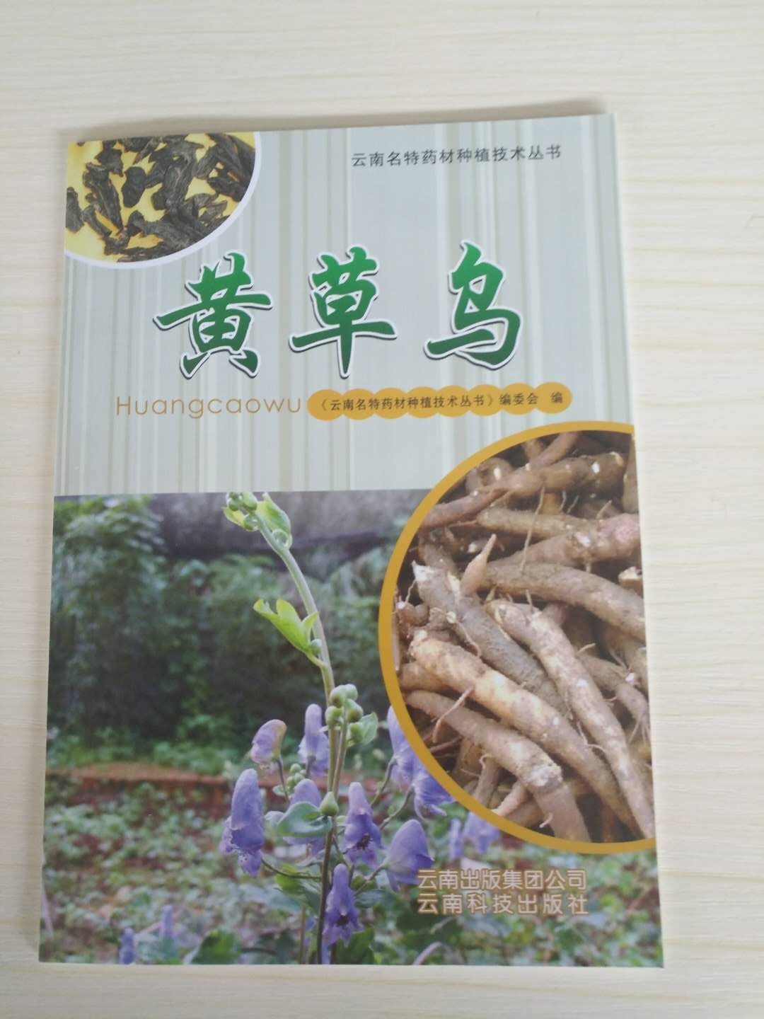 二手书二手99新图书 黄草乌 云南名特药材种植技术丛书 植技术丛书 植