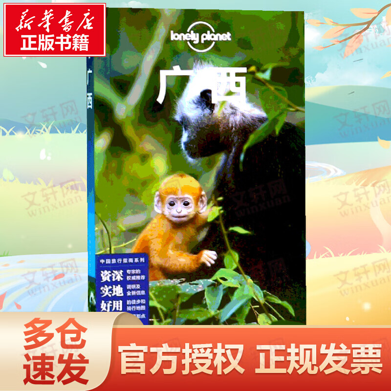 广西 第三版 孤独星球Lonely Planet旅行指南系列