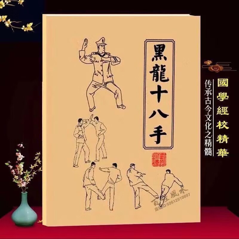 黑龙十八手擒拿术军体拳格斗术组合防身术反擒拿招式训练实战功法