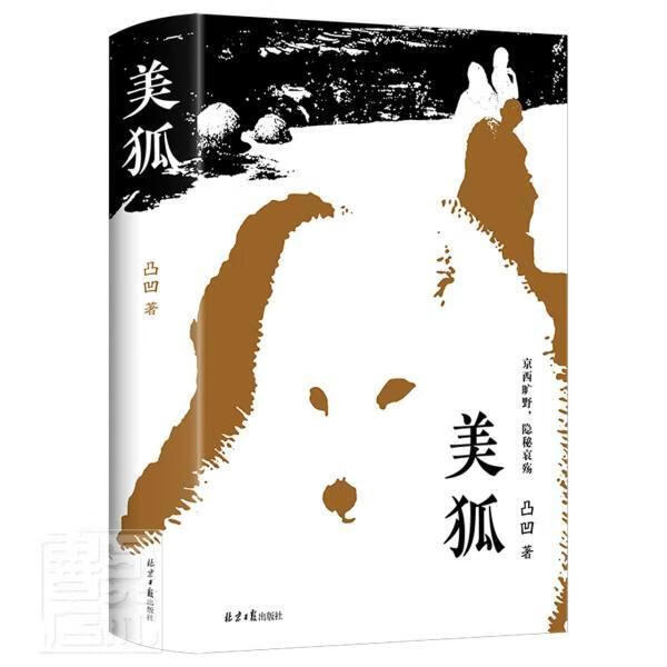 美狐凸凹小说9787547739327 长篇小说中国当代普通大众