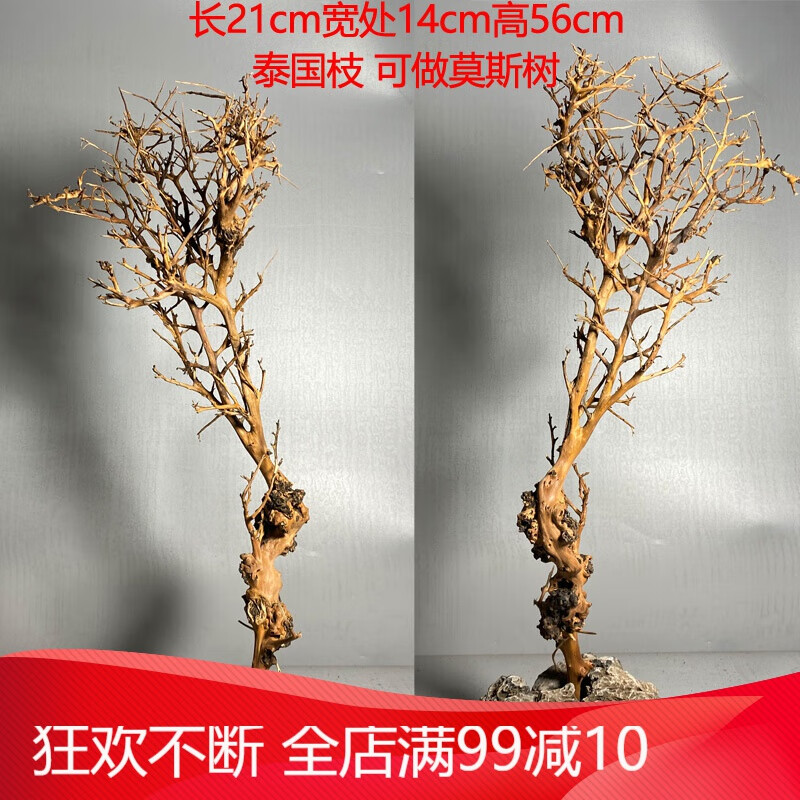 逸乐宠杜鹃根鱼缸造景沉木免煮枝条树森林天然爬宠树枝攀爬树形摆件栖