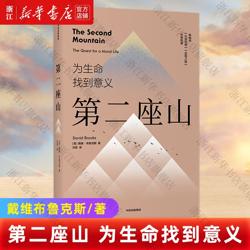 【新华书店正版】 第二座山 (美)戴维·布鲁克斯  社会学