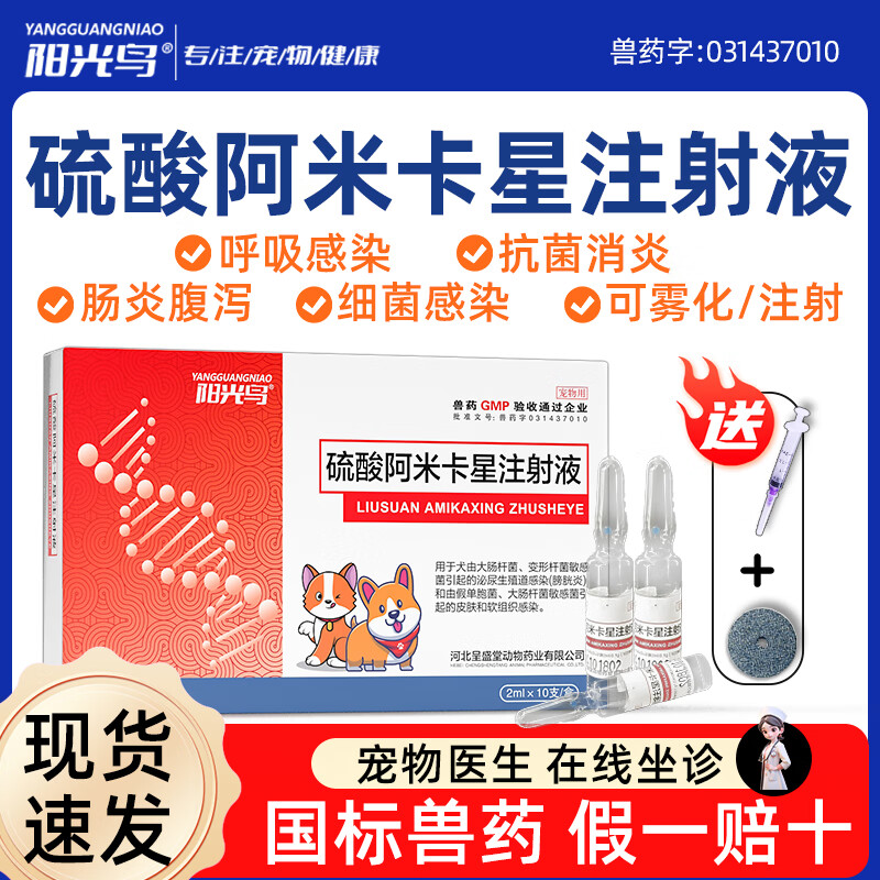 硫酸阿米卡星注射液狗狗宠物犬猫乌龟鱼猫咪肺肠炎抗菌消炎雾化药 1盒