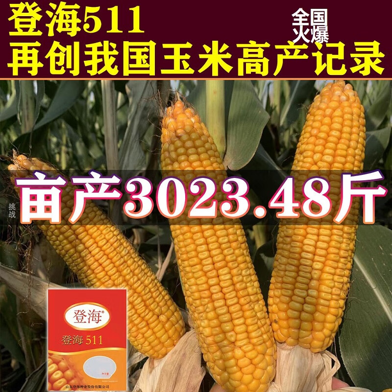 登海606玉米种审定公告图片