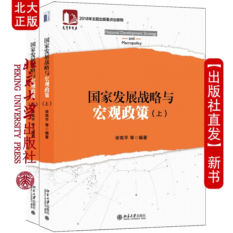 北大正版 国家发展战略与宏观政策 上下册 徐宪平 等 著 北京大学出版社