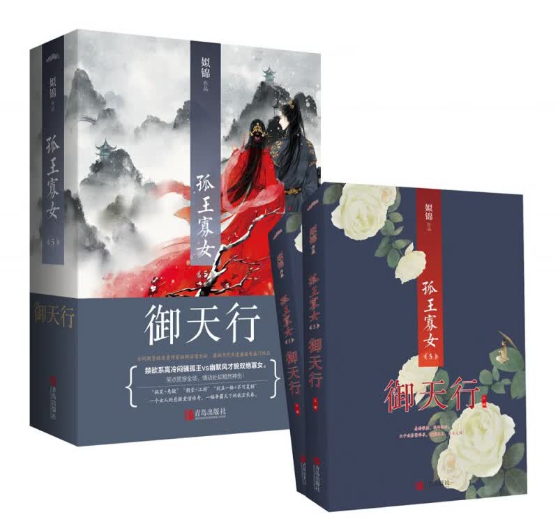 孤王寡女(5御天行上下)