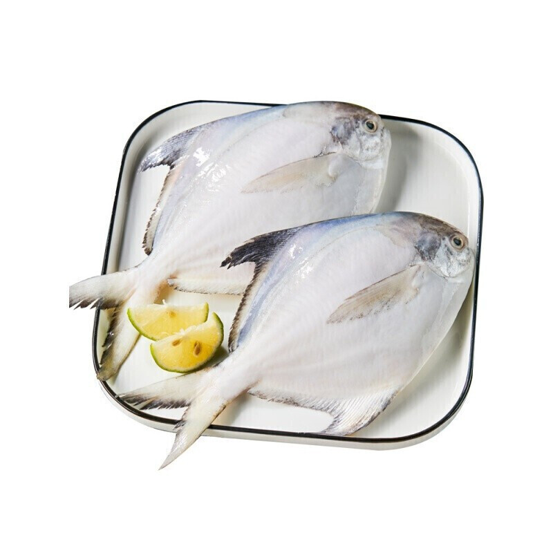 勤臣 东海银鲳鱼平鱼深海鱼海鲜水产生鲜鱼类 半斤/条 4条装
