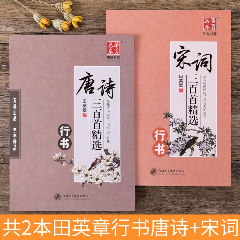 唐诗三百首 宋词三百首精选行书钢笔字帖2本 田英章书硬笔书法