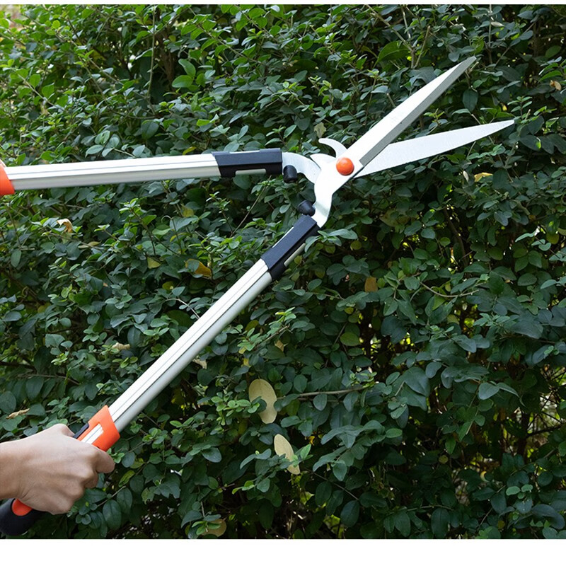 漫德莱 长柄园艺剪 省力修枝剪 绿篱整枝剪 高枝剪 草坪剪刀 花草树枝