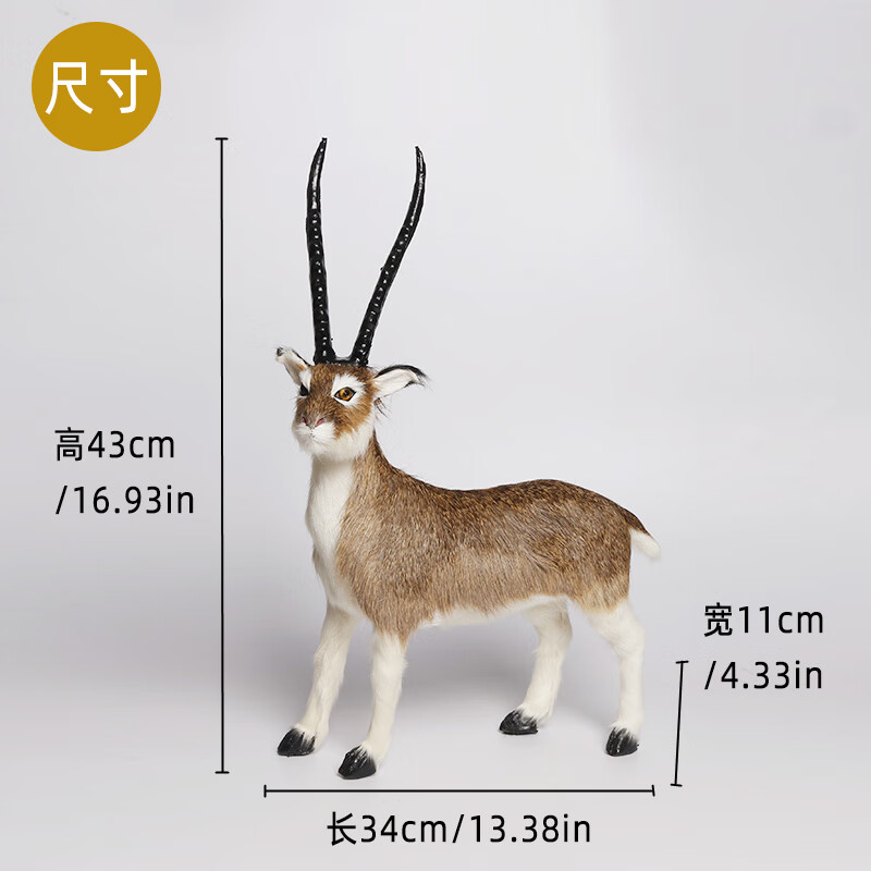 藏羚羊模型仿真羚羊动物工艺品摆件儿童认知教学玩偶拍照道具装饰