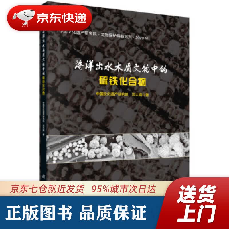 【新华书店 正版图书】海洋出水木质文物中的硫铁化合物 沈大娲 著 科学出版社 9787030658654