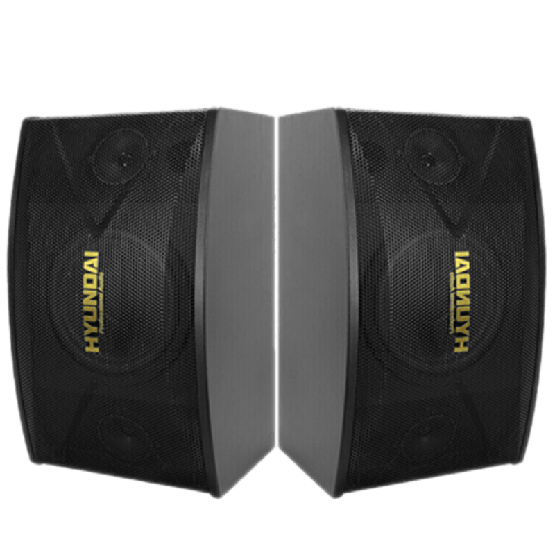 hyundai现代音响卡包音箱 家庭影院ktv音响 会议室舞蹈教室演出门店餐