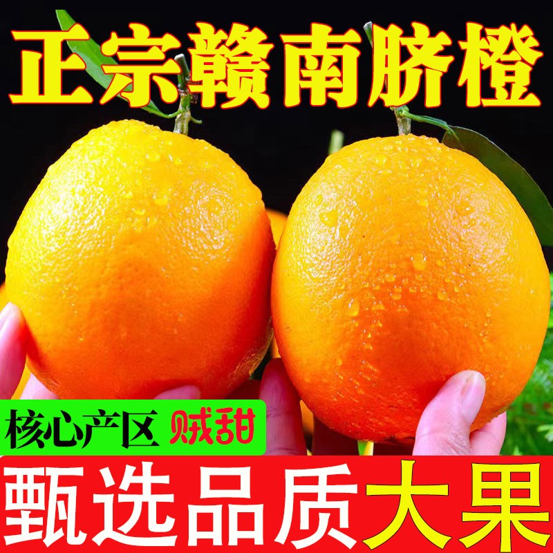 电商橙子价格变化查询|橙子价格走势