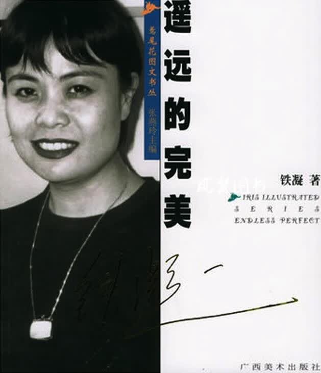遥远的完美 铁凝 广西美术出版社