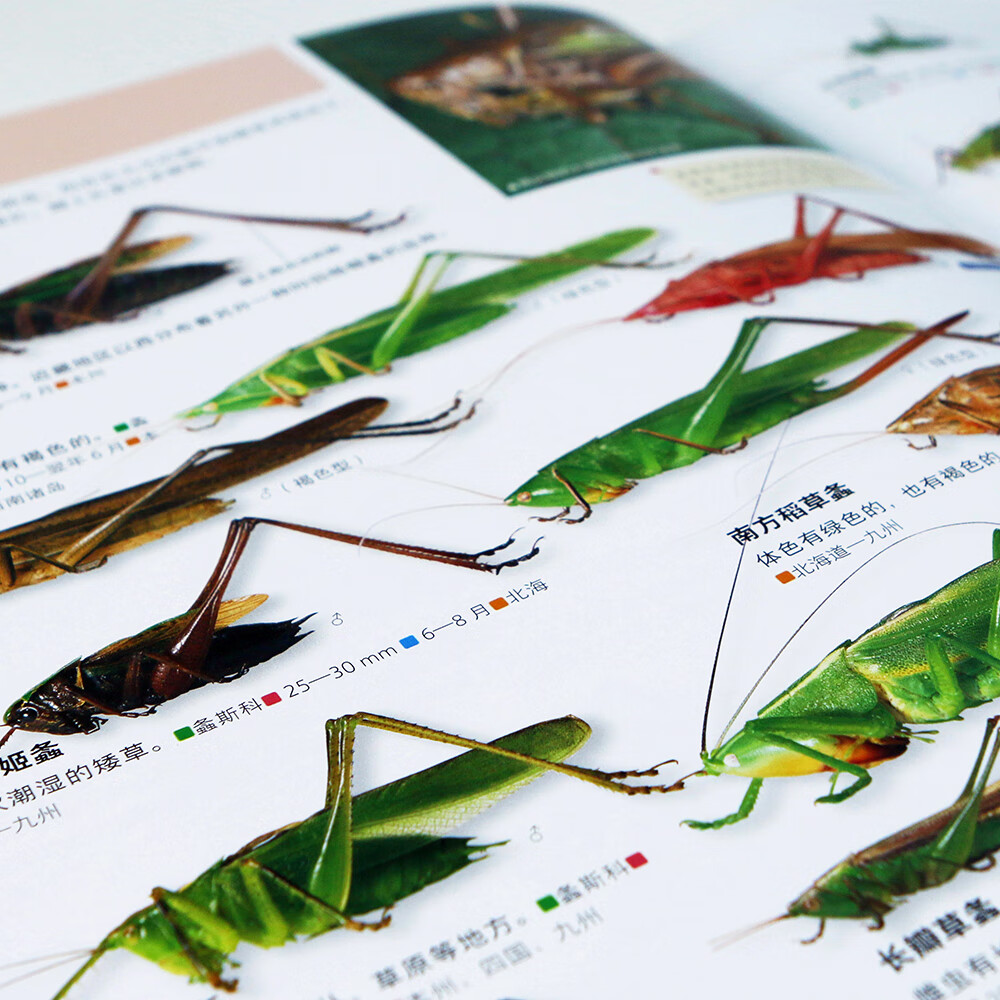 MOVE图鉴系列：昆虫+宇宙（2册）日本讲谈社当家科普，原版销量超200万册，满载生动知识的阅读体验详情图