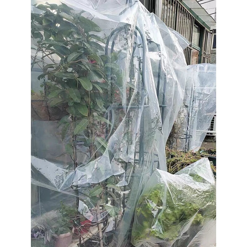 罩加厚塑料薄膜花卉绿植盆栽过冬防冻保温膜袋植物冬季果防寒罩防冻罩