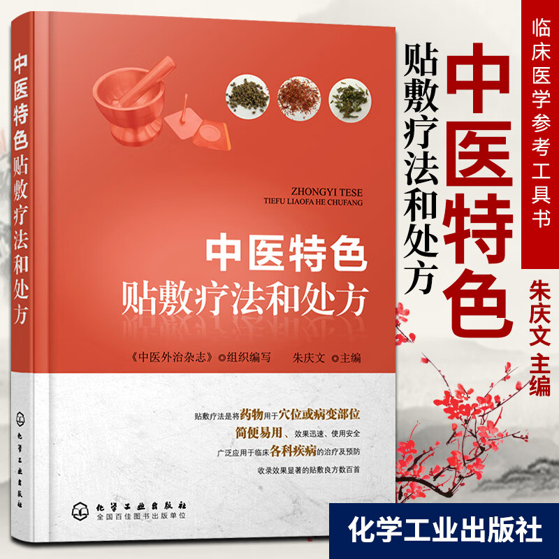 中医特色贴敷疗法和处方 朱庆文 9787122285362 化