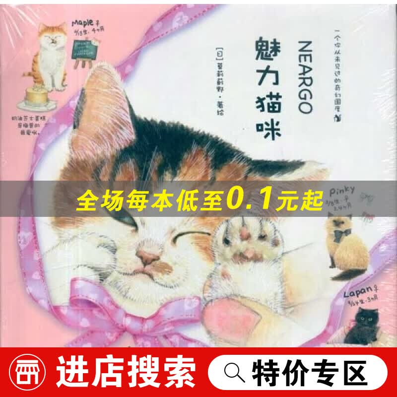 魅力猫咪书籍