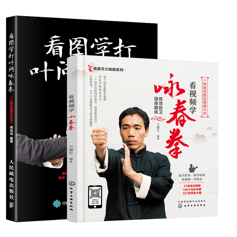 看视频学咏春拳+看图学打叶问咏春拳 叶问咏春拳书籍咏春拳谱2本