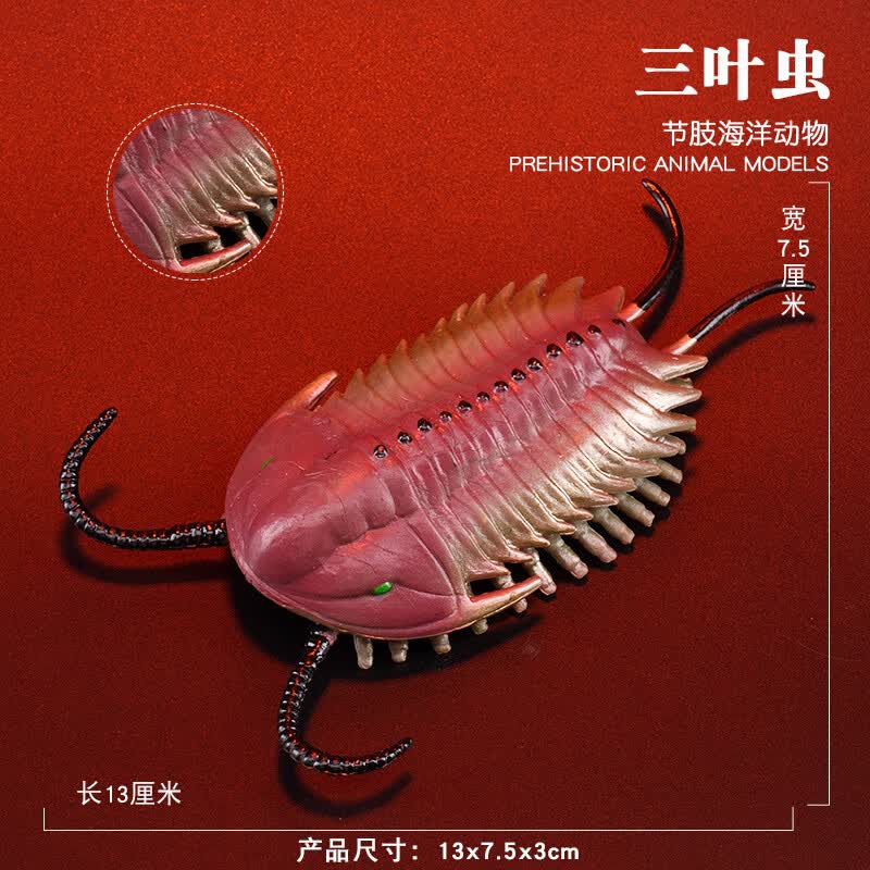 昂沐儿童仿真远古动物玩具模型史前昆虫三叶虫奇虾菊石寒武纪 三叶虫