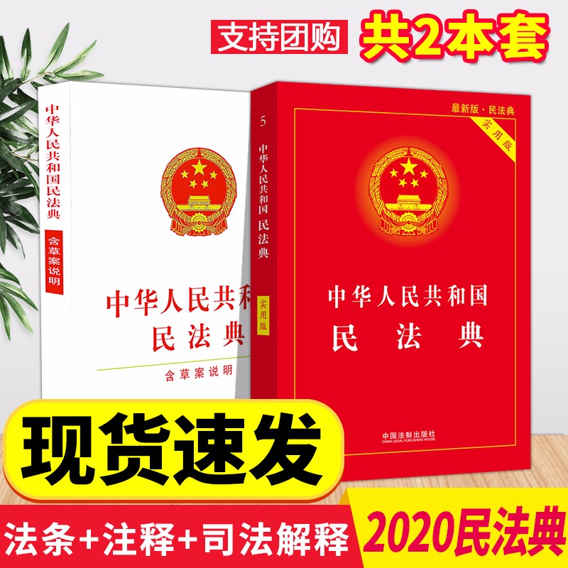 中华人民共和国民法典(32开/含草案说明