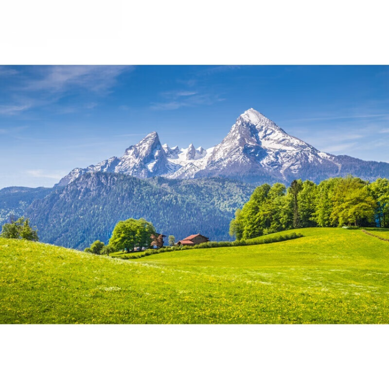 梵雅曼墙纸自粘风景画草原海报雪山峰森林树林贴画自然风光装饰墙贴壁画 F237 横版图 高60X宽90厘米