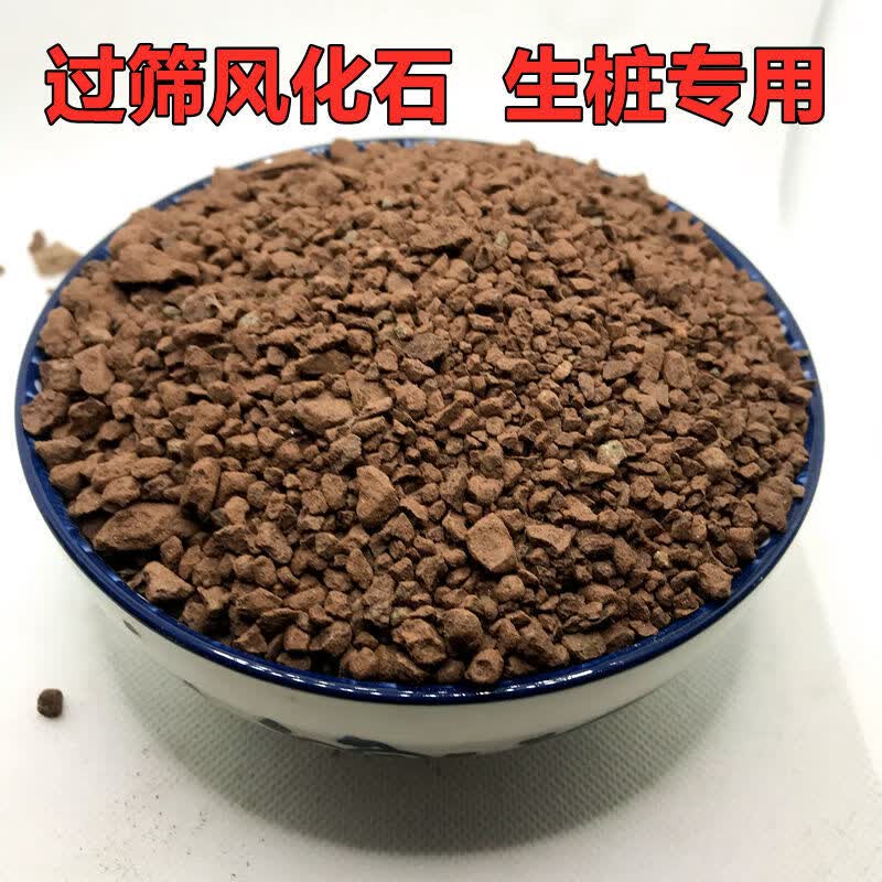风化石土风化土 专用金弹子营养土通用多肉兰花茶花酸性风化石颗粒土