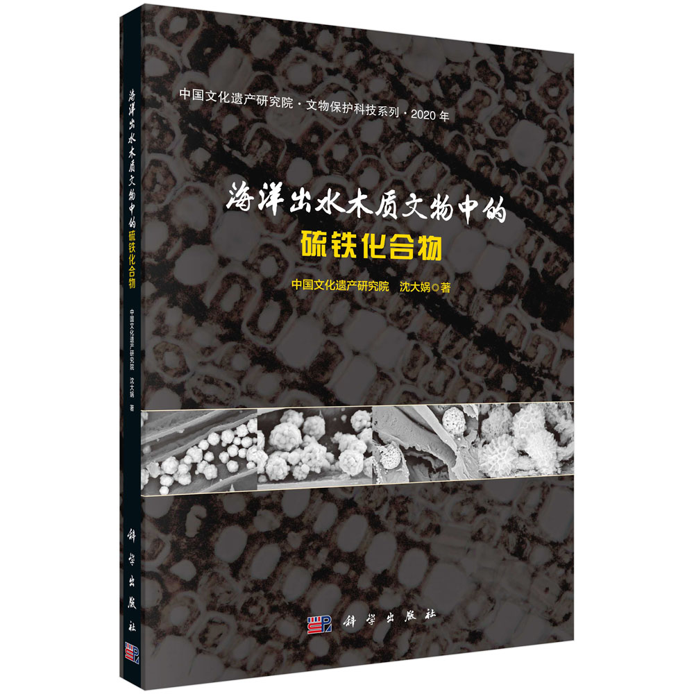 【包邮】海洋出水木质文物中的硫铁化合物《现货速发》